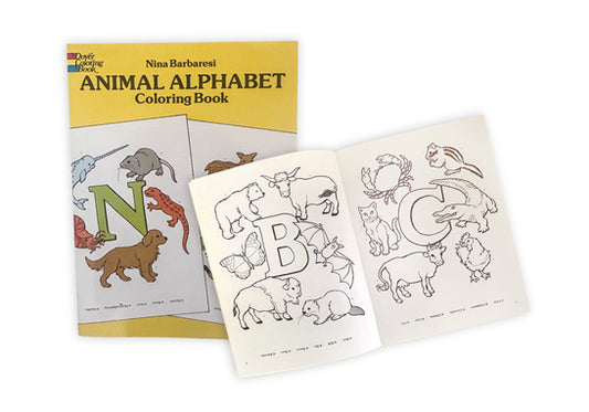 12 Packs: 157 ct. (1884 total) Block Alphabet Stickers by Recollections™ 
